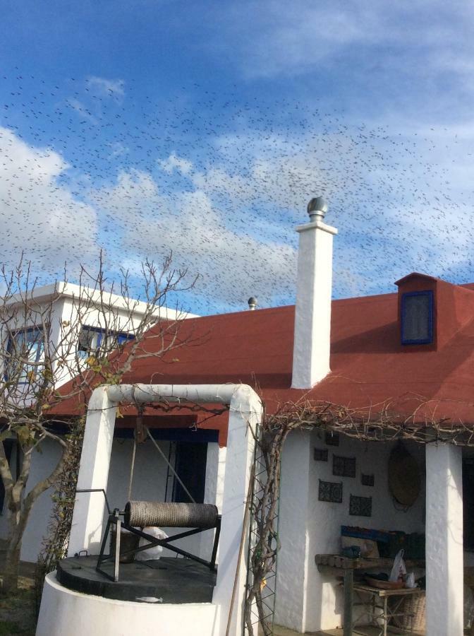 La Casa De Las Higueras Dar Karmus Tétouan Екстериор снимка