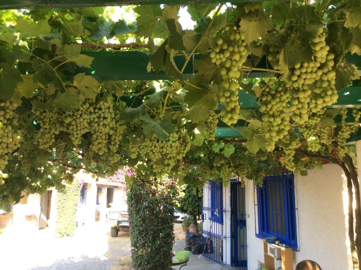 La Casa De Las Higueras Dar Karmus Tétouan Екстериор снимка